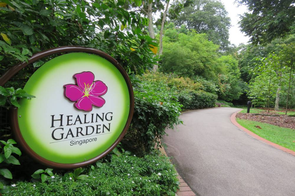 Healing Garden IN SINGAPORE BOTANIC GARDENS